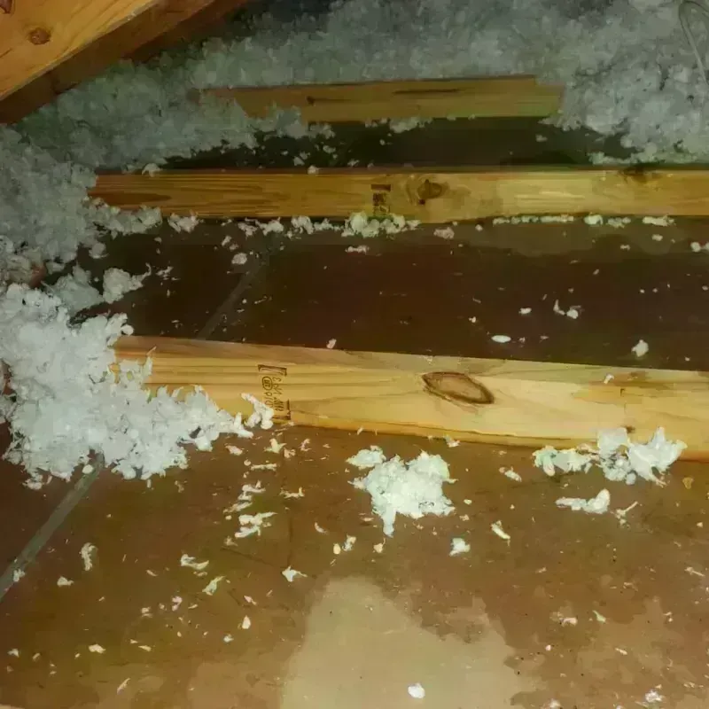 Attic Water Damage in Brazoria County, TX