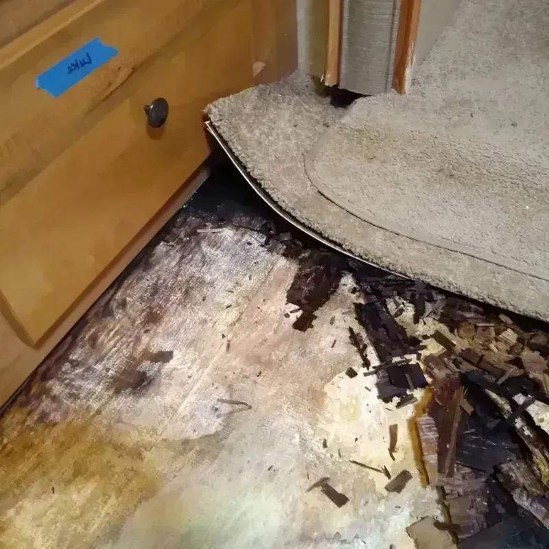 Best Wood Floor Water Damage Service in Brazoria County, TX